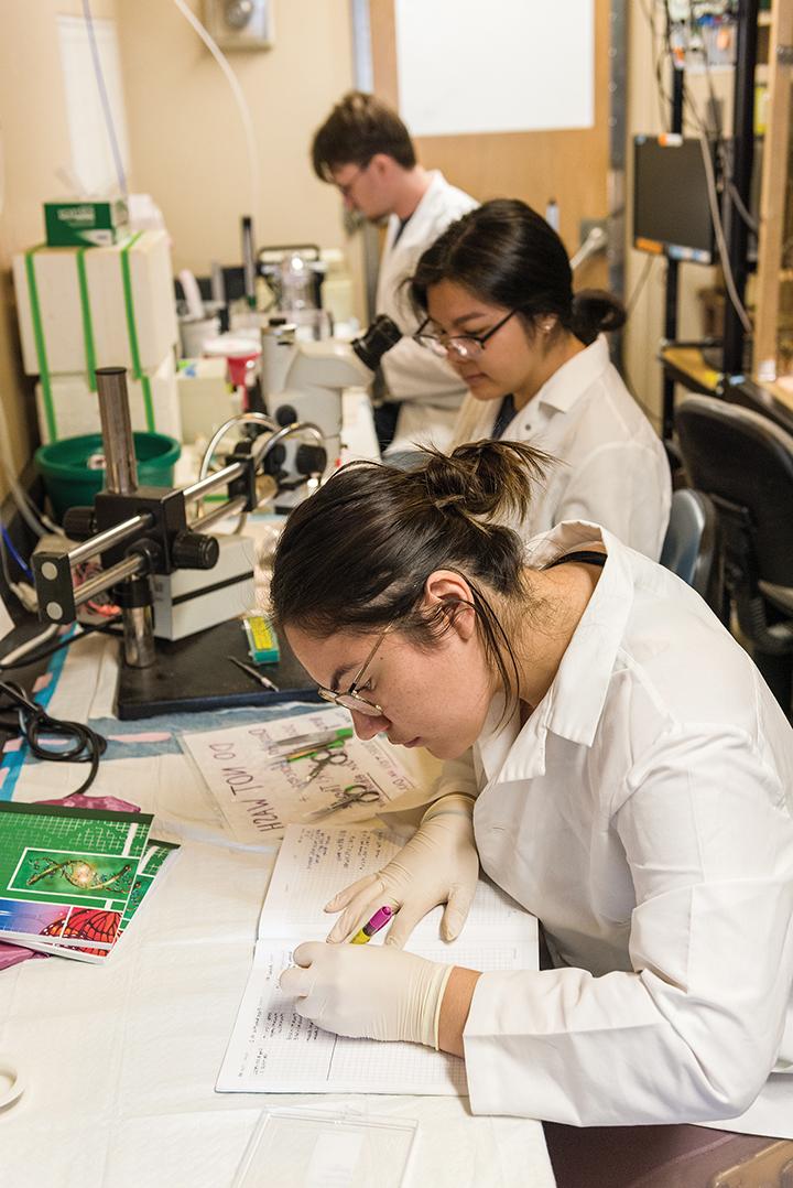 Alexandra Salazar, Sarah Chu,Nikola Klier